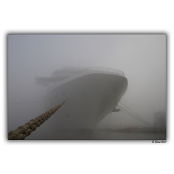 Celebrity Solstice im Nebel